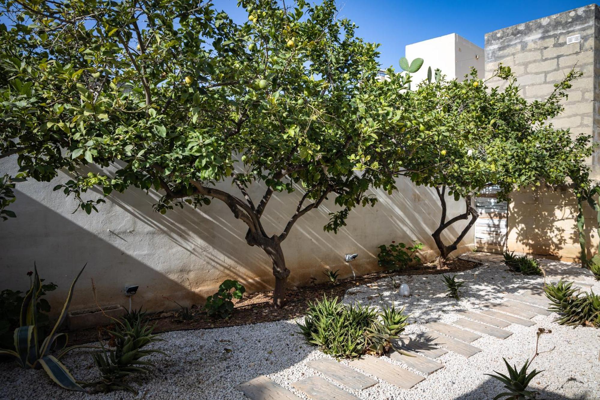 Lemon Tree Relais By Cx Collection Hotell Żabbar Exteriör bild